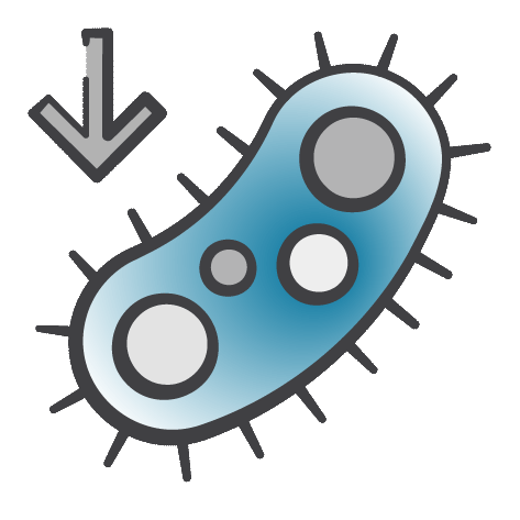 bacteria icon